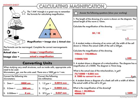 magnification equation biology|magnification questions gcse biology.